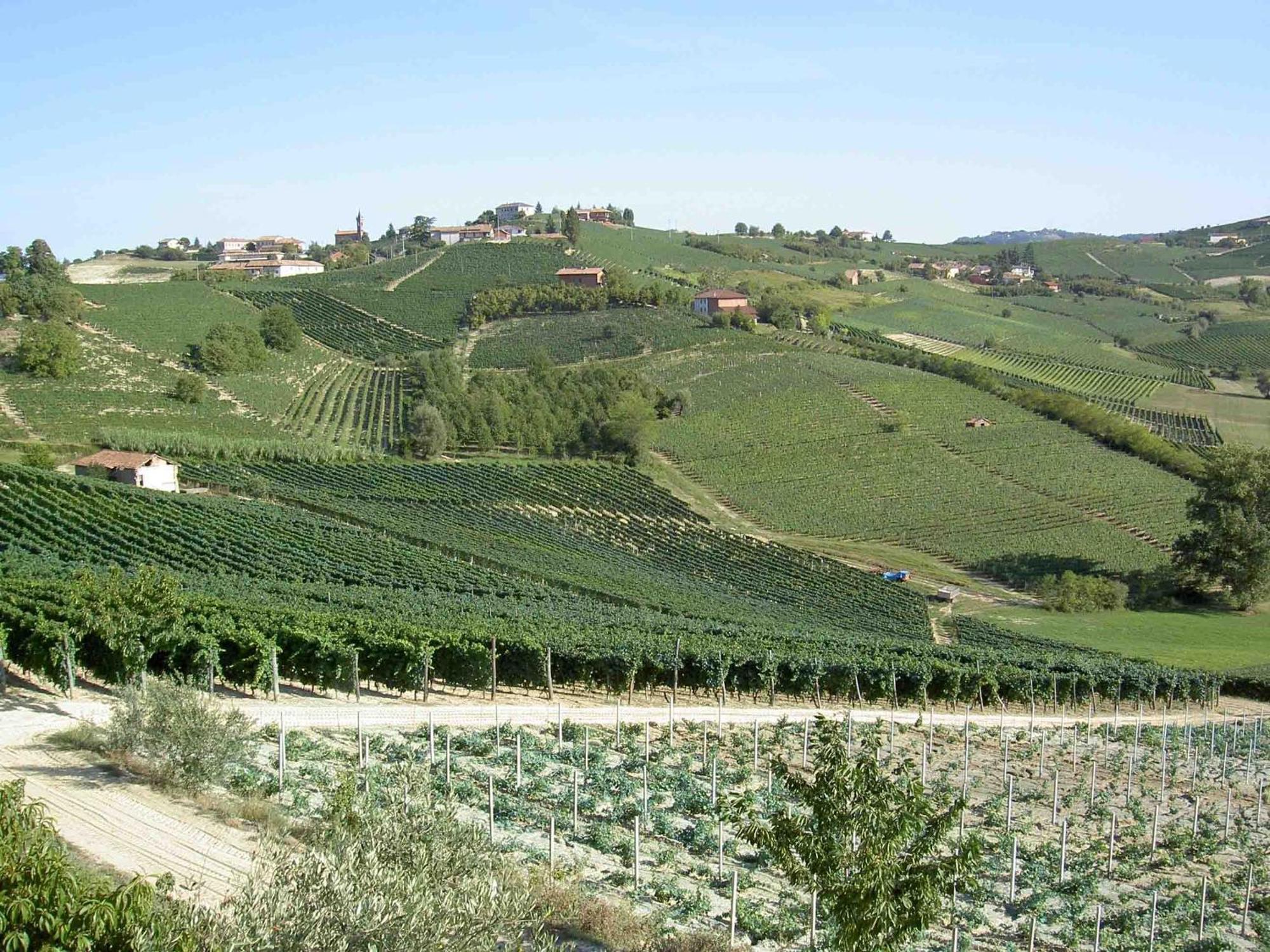Agriturismo Vecchio Torchio Canelli Luaran gambar