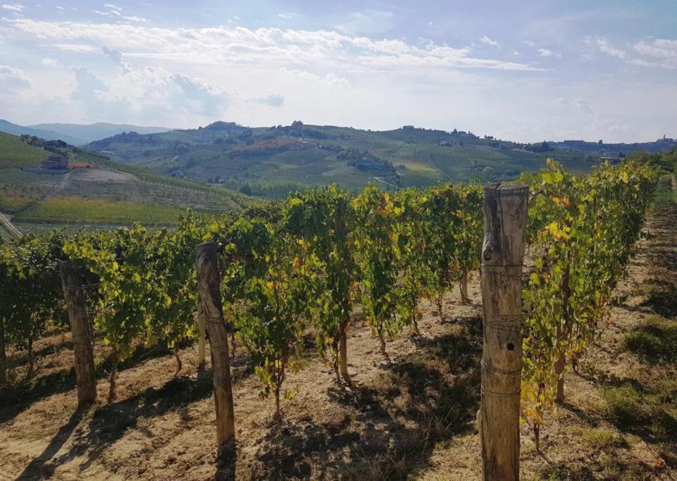 Agriturismo Vecchio Torchio Canelli Luaran gambar